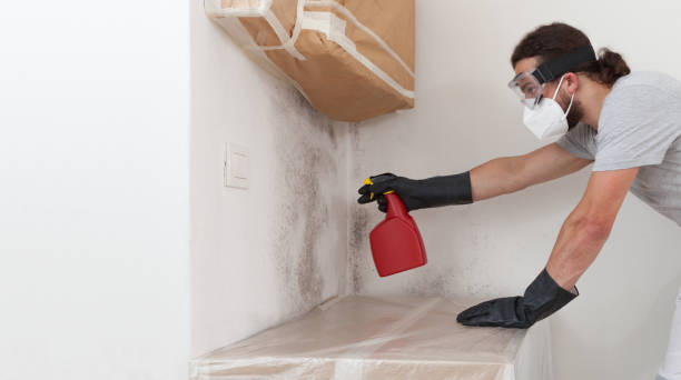 Professional Basement Mold Remediation technician working in Montgomeryville, PA