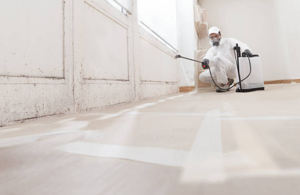 24/7 Emergency Basement Mold Remediation experts in Montgomeryville, PA