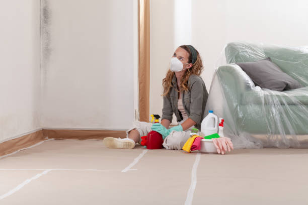 Reliable Basement Mold Remediation contractor in Montgomeryville, PA by Mold Remediation HQ