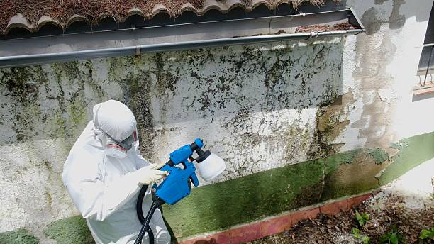 Top rated local Basement Mold Remediation specialists in Montgomeryville, PA